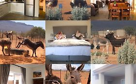 Donkieshoek Accommodation & Campsite, Calvinia
